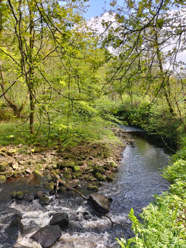 Picture of Hebden Bridge, Heptonstall, Hardcastle Crags and Crimsworth Dean